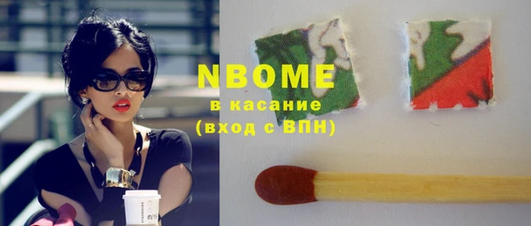 прущий лед Алзамай