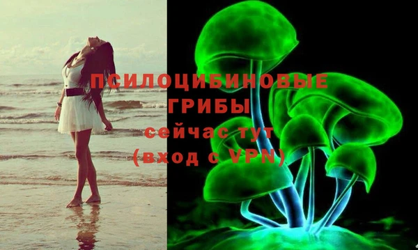 Альфа ПВП Алексеевка