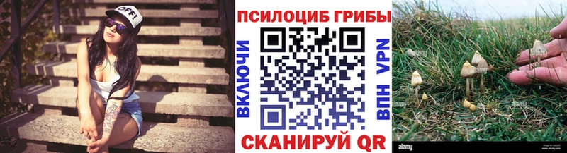 Псилоцибиновые грибы ЛСД  нарко площадка Telegram  Емва  купить наркоту 